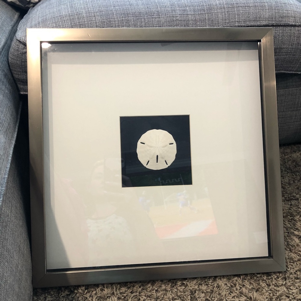 Large beach sand dollar frame, EUC
